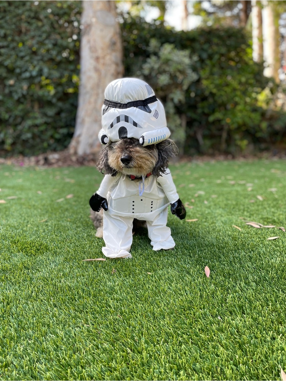 Dog One-Piece Stormtrooper Style Suit with Helmet hat (fits 20 lb dog)